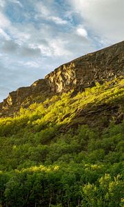 Preview wallpaper slope, mountain, trees, sunlight, shadow