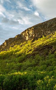 Preview wallpaper slope, mountain, trees, sunlight, shadow