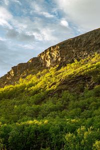 Preview wallpaper slope, mountain, trees, sunlight, shadow