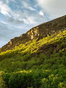 Preview wallpaper slope, mountain, trees, sunlight, shadow