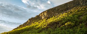 Preview wallpaper slope, mountain, trees, sunlight, shadow