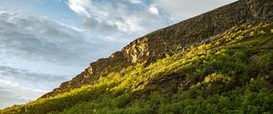Preview wallpaper slope, mountain, trees, sunlight, shadow