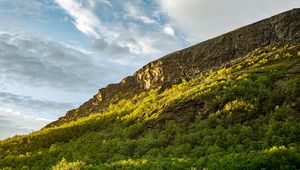 Preview wallpaper slope, mountain, trees, sunlight, shadow