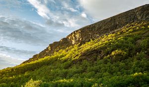 Preview wallpaper slope, mountain, trees, sunlight, shadow