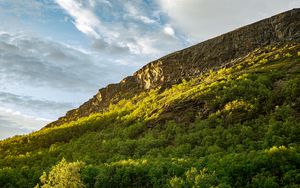 Preview wallpaper slope, mountain, trees, sunlight, shadow