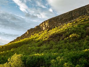 Preview wallpaper slope, mountain, trees, sunlight, shadow