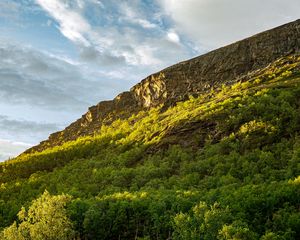 Preview wallpaper slope, mountain, trees, sunlight, shadow