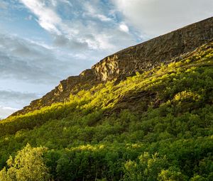 Preview wallpaper slope, mountain, trees, sunlight, shadow