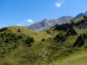 Preview wallpaper slope, mountains, grass, stones, trees