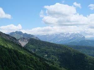Preview wallpaper slope, mountains, trees, grass