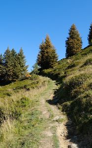 Preview wallpaper slope, path, trees, landscape, grass, nature