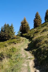 Preview wallpaper slope, path, trees, landscape, grass, nature