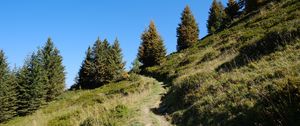 Preview wallpaper slope, path, trees, landscape, grass, nature