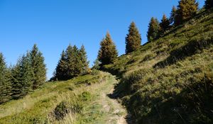 Preview wallpaper slope, path, trees, landscape, grass, nature