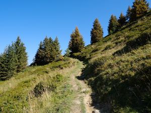 Preview wallpaper slope, path, trees, landscape, grass, nature