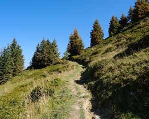 Preview wallpaper slope, path, trees, landscape, grass, nature