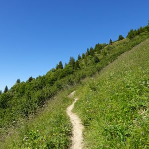 Preview wallpaper slope, path, trees, bushes, grass, green