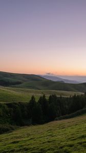 Preview wallpaper slope, plain, grass, trees, landscape