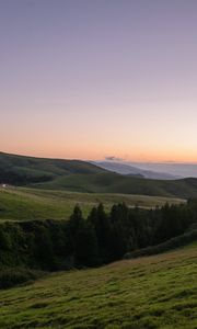 Preview wallpaper slope, plain, grass, trees, landscape