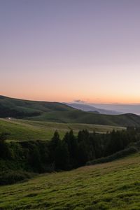 Preview wallpaper slope, plain, grass, trees, landscape