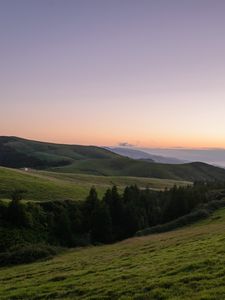 Preview wallpaper slope, plain, grass, trees, landscape