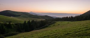 Preview wallpaper slope, plain, grass, trees, landscape