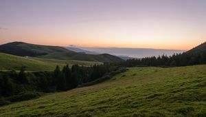 Preview wallpaper slope, plain, grass, trees, landscape