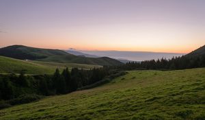 Preview wallpaper slope, plain, grass, trees, landscape