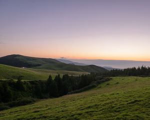 Preview wallpaper slope, plain, grass, trees, landscape