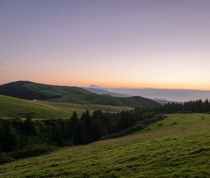 Preview wallpaper slope, plain, grass, trees, landscape