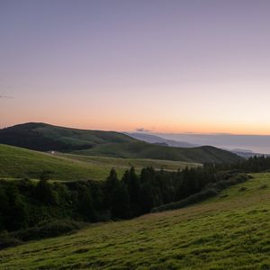 Preview wallpaper slope, plain, grass, trees, landscape