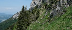 Preview wallpaper slope, rock, trees, grass