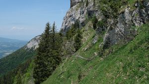 Preview wallpaper slope, rock, trees, grass