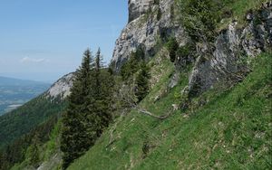 Preview wallpaper slope, rock, trees, grass