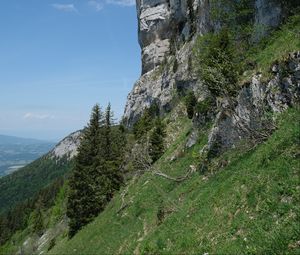 Preview wallpaper slope, rock, trees, grass