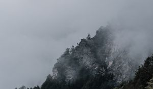 Preview wallpaper slope, rocks, trees, fog, darkness