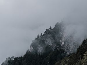 Preview wallpaper slope, rocks, trees, fog, darkness