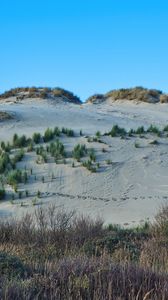 Preview wallpaper slope, sands, bushes, grass, nature