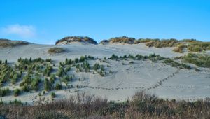 Preview wallpaper slope, sands, bushes, grass, nature