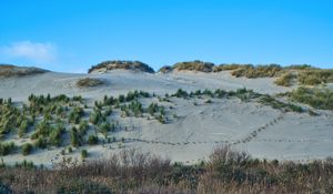 Preview wallpaper slope, sands, bushes, grass, nature