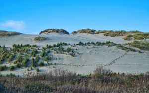 Preview wallpaper slope, sands, bushes, grass, nature