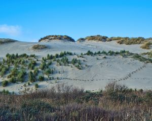 Preview wallpaper slope, sands, bushes, grass, nature