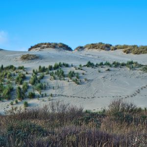 Preview wallpaper slope, sands, bushes, grass, nature