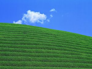 Preview wallpaper slope, sky, field, cascade