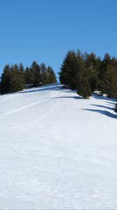 Preview wallpaper slope, snow, trees, traces, nature