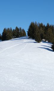Preview wallpaper slope, snow, trees, traces, nature