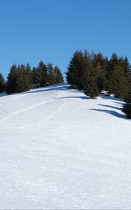 Preview wallpaper slope, snow, trees, traces, nature