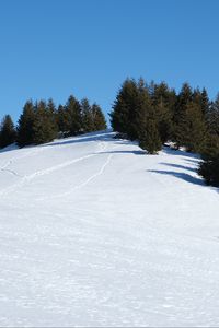 Preview wallpaper slope, snow, trees, traces, nature