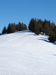 Preview wallpaper slope, snow, trees, traces, nature