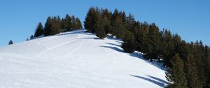 Preview wallpaper slope, snow, trees, traces, nature